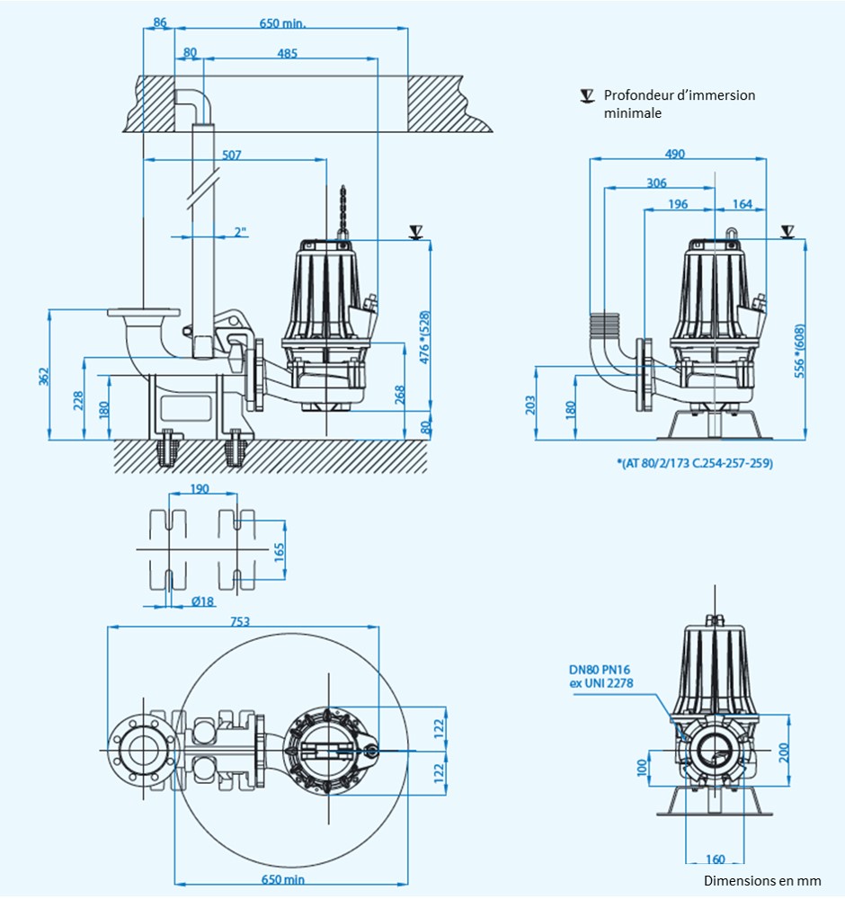 Pompe de relevage 2,2KW Triph Eaux chargées en Fonte Roue monocanale