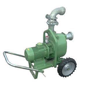 POMPE ELECTRIQUE S85 S/CHARIOT AUTO AMORCANTE 4KW
